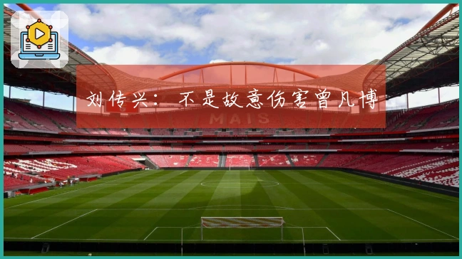 刘传兴：不是故意伤害曾凡博