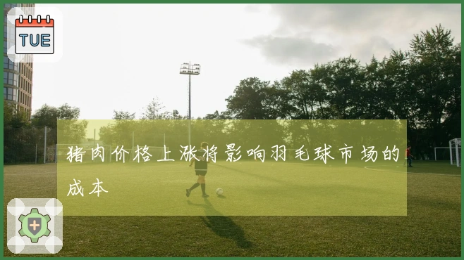 猪肉价格上涨将影响羽毛球市场的成本